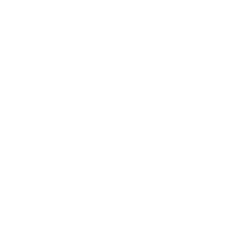 ce logo Nashua