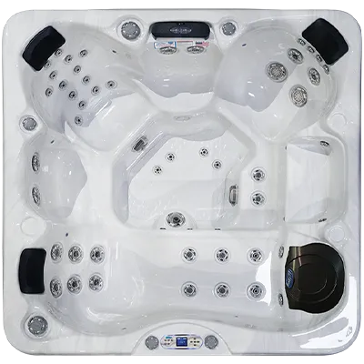 Avalon EC-849L hot tubs for sale in Nashua