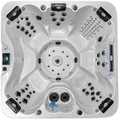 Laguna PL-793B hot tubs for sale in Nashua